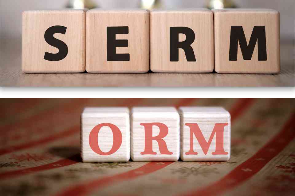 Difference Between SERM And ORM