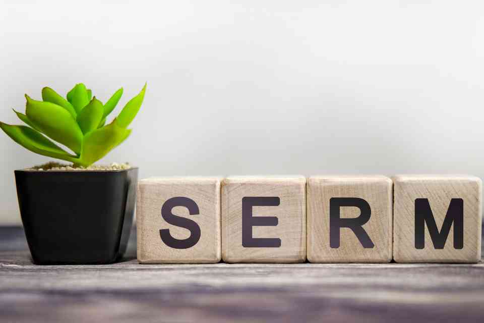 SERM – Search Engine Reputation Marketing